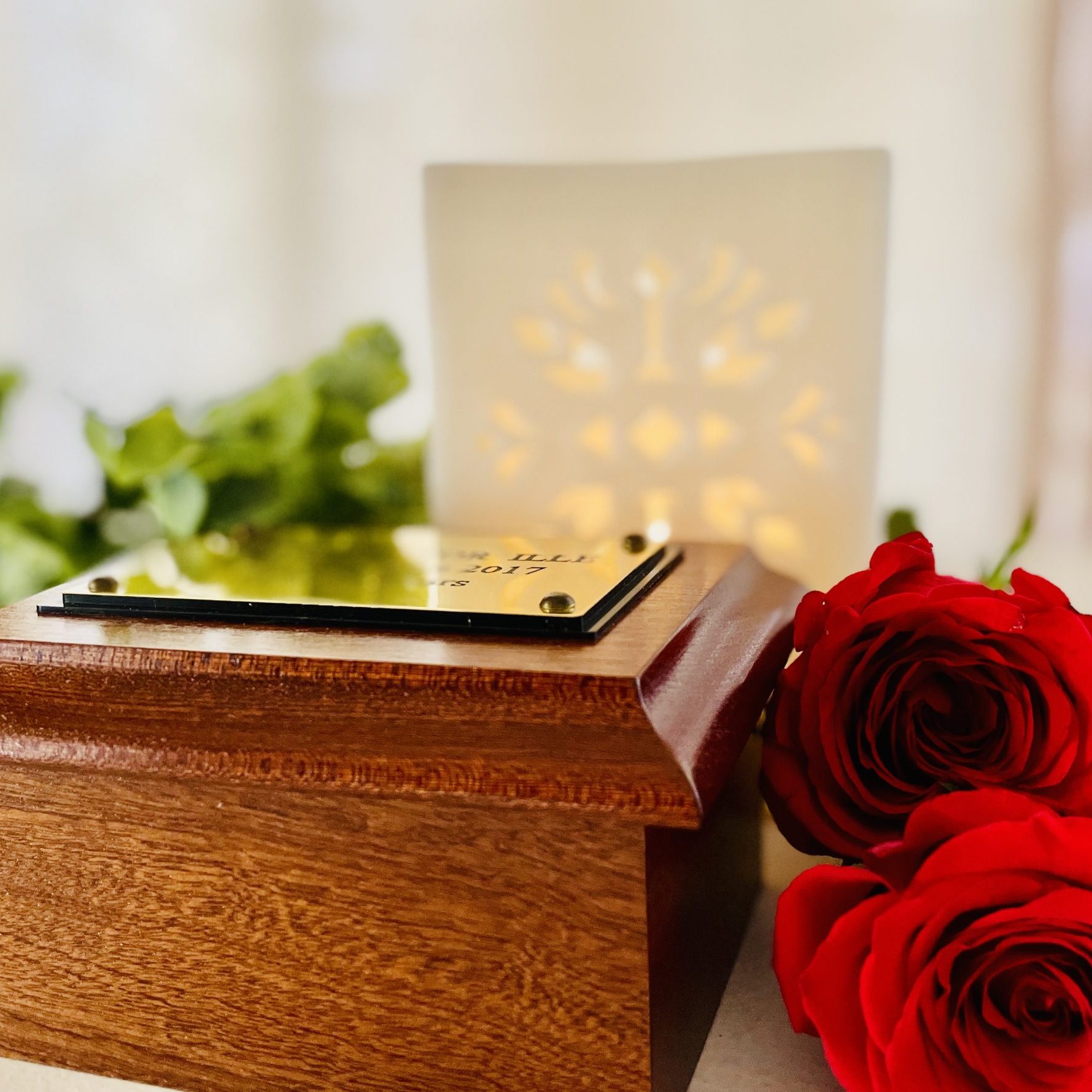 Affordable Cremation Service Options Alberta Canada